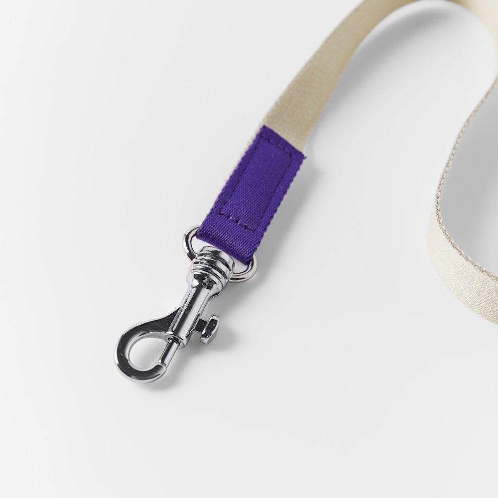 ZARA COLORFUL LEASH PET COLLECTION - Picture 4 of 5